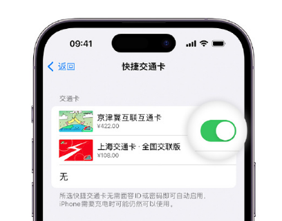 白山apple维修点分享iPhone上更换Apple Pay快捷交通卡手绘卡面 