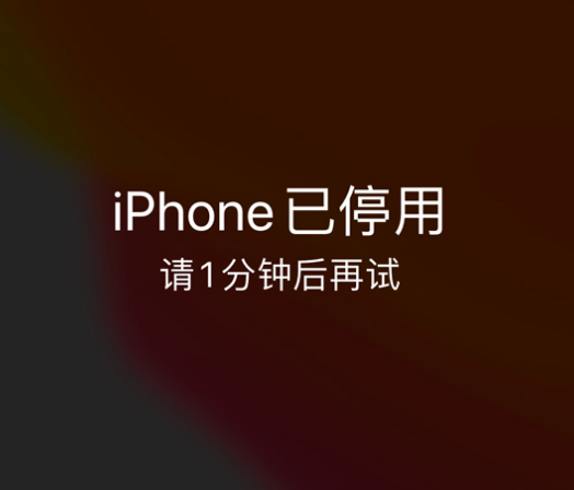 白山苹果手机维修分享:iPhone 显示“不可用”或“已停用”怎么办？还能保留数据吗？ 