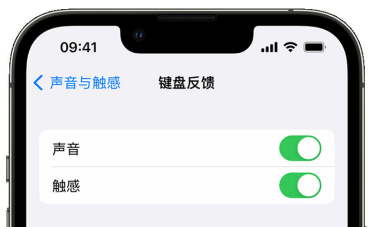 白山苹果手机维修分享iPhone 14触感键盘使用方法 