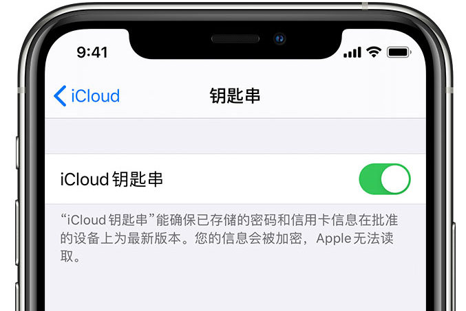 白山苹果手机维修分享在 iPhone 上开启 iCloud 钥匙串之后会储存哪些信息 