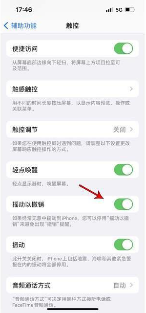 白山苹果手机维修分享iPhone手机如何设置摇一摇删除文字 