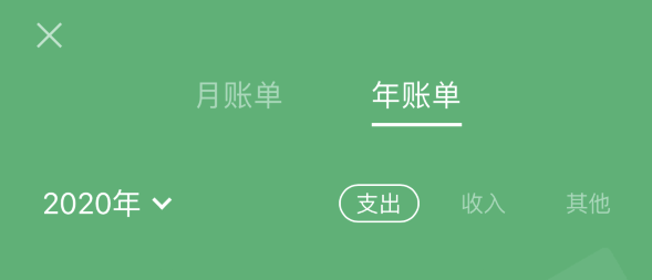 白山苹果手机维修分享如何在 iPhone 上查看支付宝和微信年支出账单 